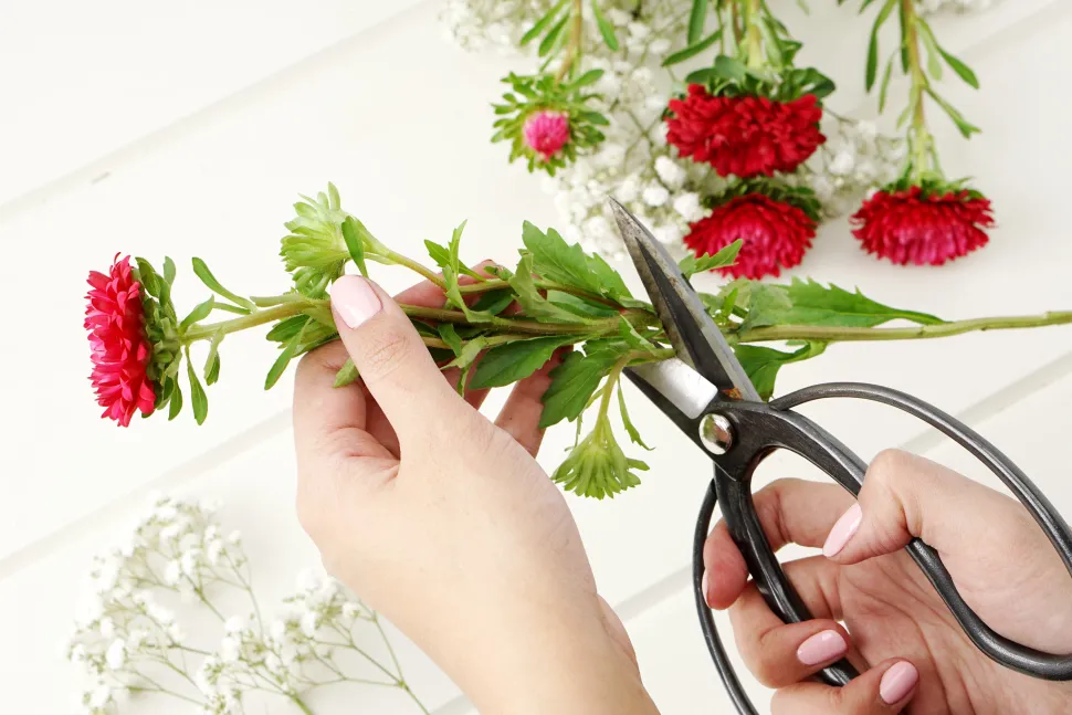 Tesouras de poda, um corte reto demasiado alto e folhas na base - esta imagem ilustra perfeitamente os erros a evitar! Foto de ProFlowers - Flickr