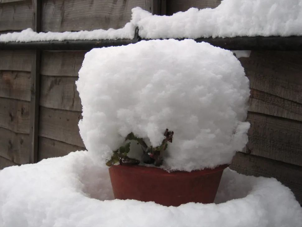 Para evitar sorpresas desagradables, es mejor adelantarse. Foto de Sarah (Fuente: Flickr)