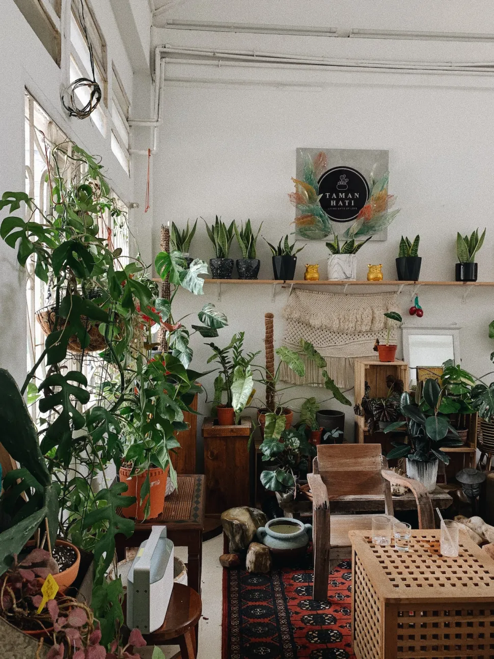 Alle soorten doen het goed in de woonkamer - Foto door Shirley Tan/ Pexel