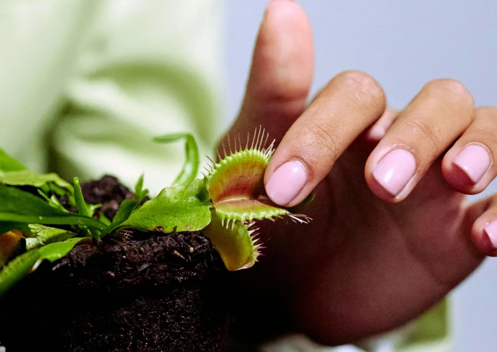 Parfait exemple de ce qu'il ne faut pas faire - Photo par Ron Lach / Pexels