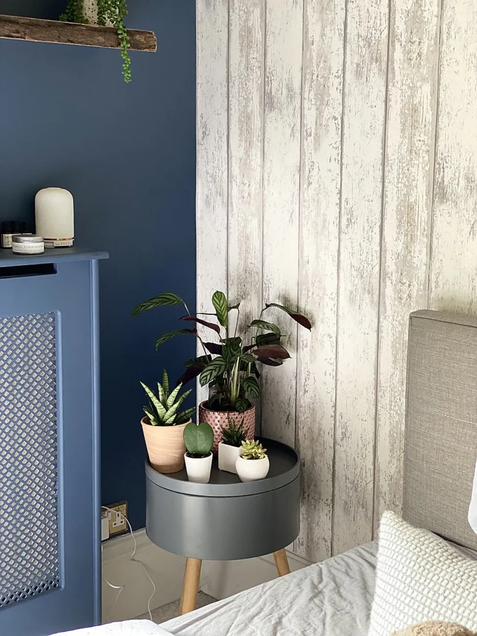 Med planter på dit natbord er du sikker på at have en behagelig udsigt, når du vågner - Foto af The urban botanist/ Wikipedia