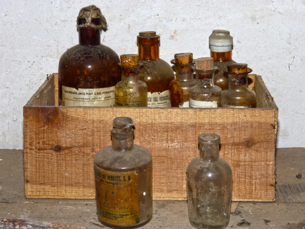 Luckily for me, poisoning plants isn't a crime—Photo via Pxhere