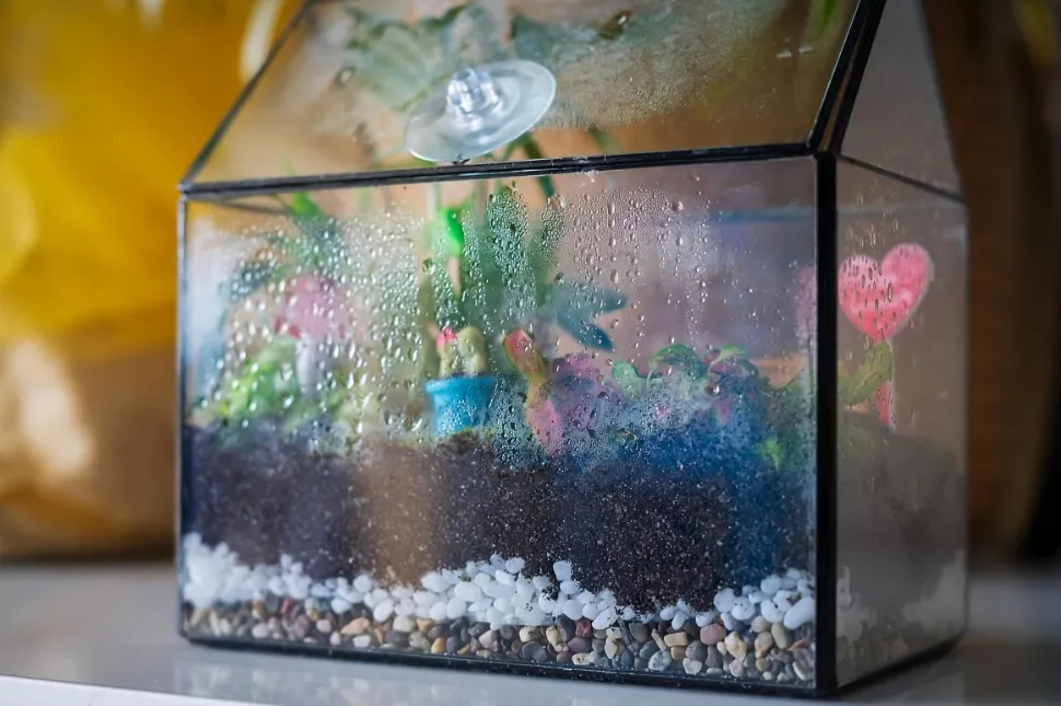 For the first few days, your terrarium may be steamed up - Photo by Ellinnur / Canva