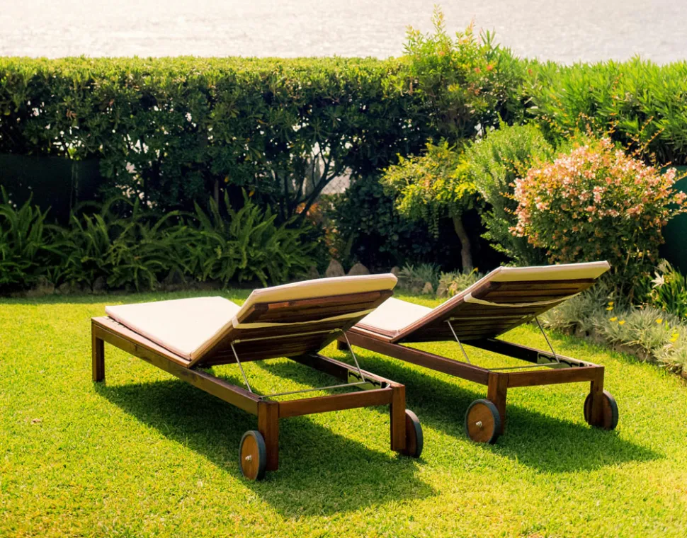 Wind and salt are the main enemies of seaside plants - Photo by Marios Potsis / Pexels