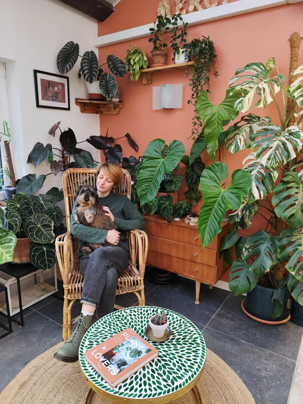 Een deel van Ludivine's collectie. Rechts de Monstera variegata - Foto door Ludivine / Amapolaplantes