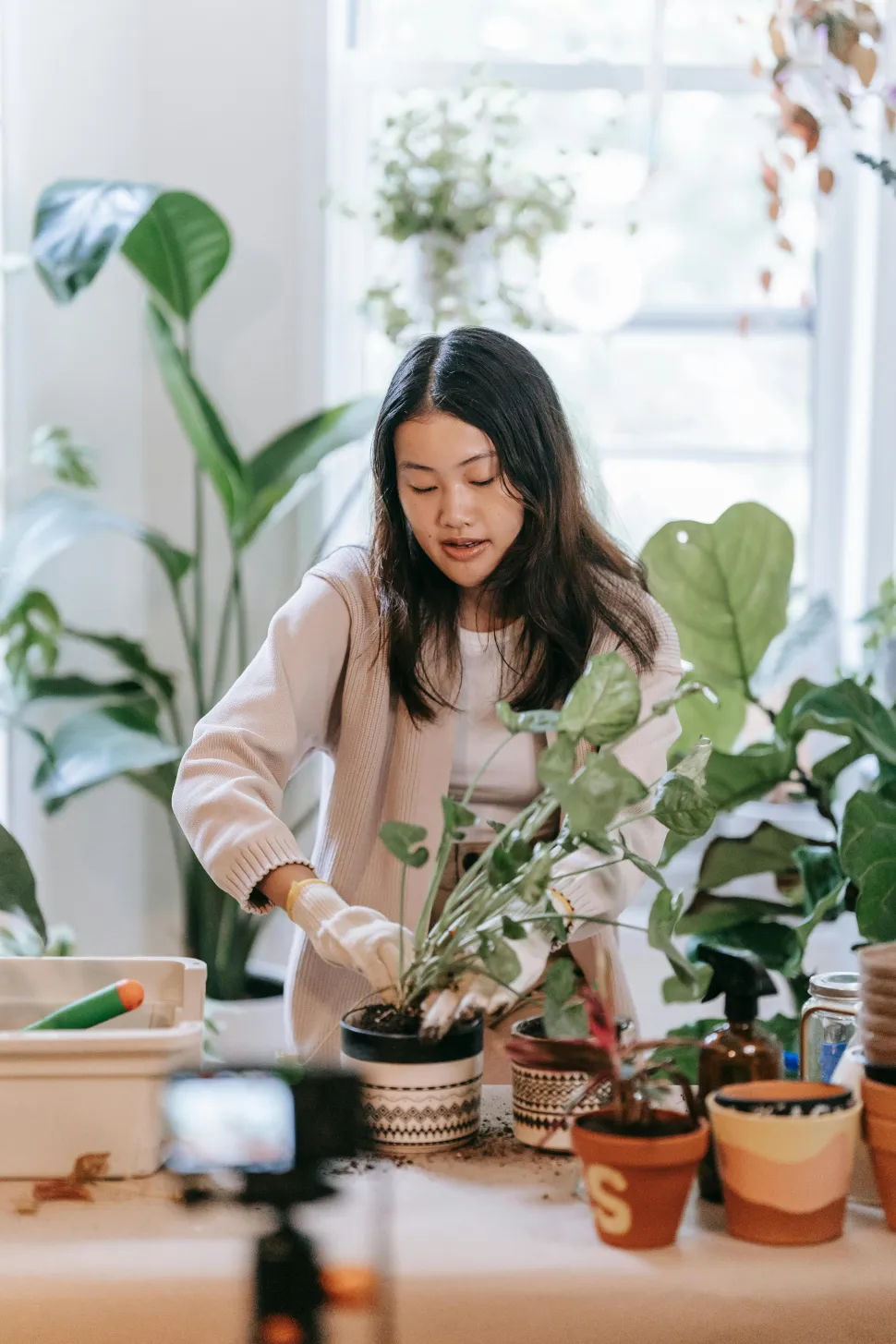Jetzt ist es an der Zeit, sich um Ihre Pflanzen zu kümmern und sie auf den Umzug vorzubereiten! Foto von Sasha Kim / Pexels