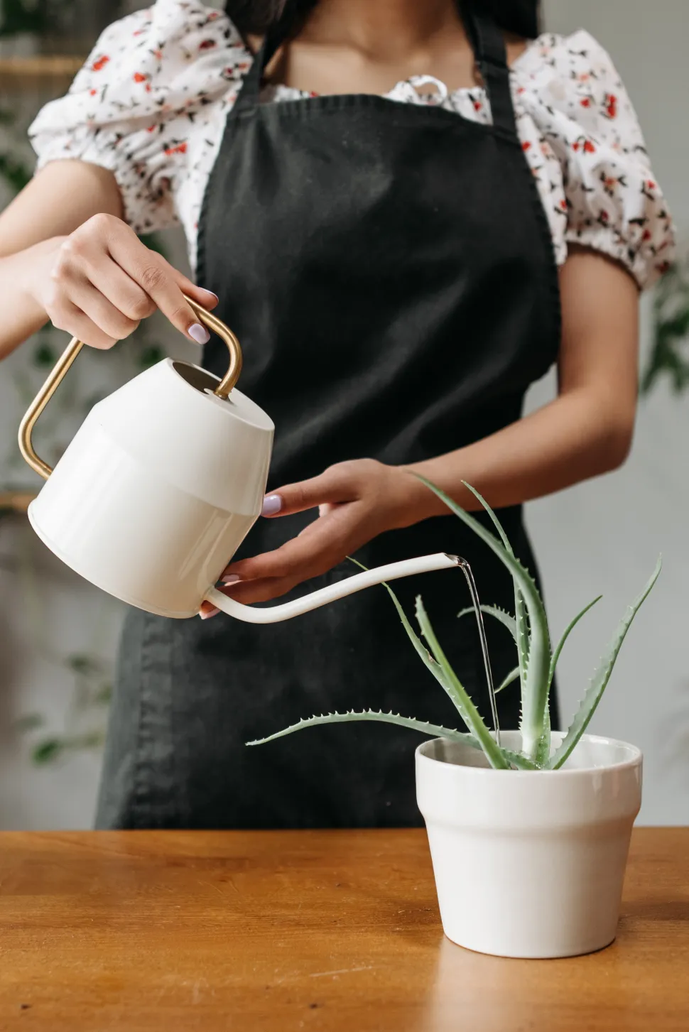 Kom je in de verleiding om water te geven met iets anders dan water? Beter van niet - Foto door Rocketmann team / Pexels