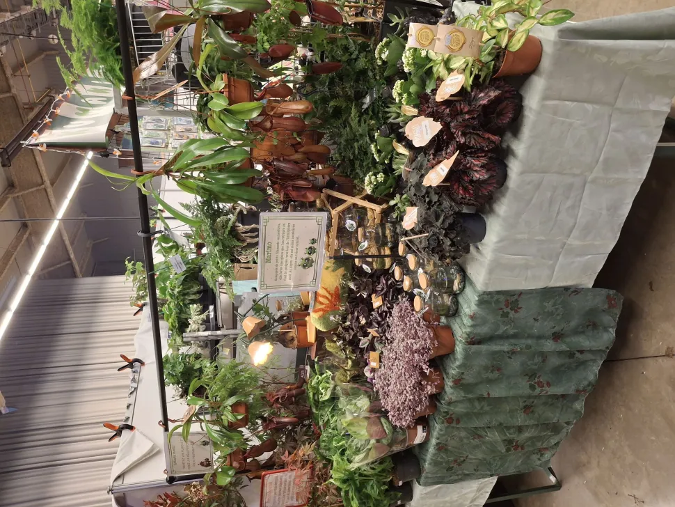Il negozio Le Temps des Plantes offre varietà rare e piante popolari in Giappone