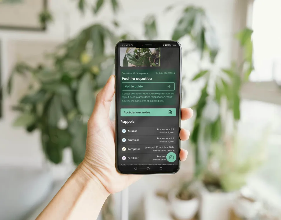 Auf der Monstera-App können Sie sogar die Informationen über Ihre Pflanze individuell anpassen