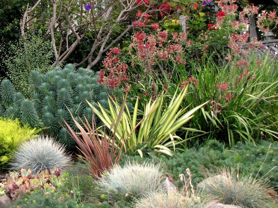 Com um pouco de método, pode plantar quase tudo no seu jardim à beira-mar - Foto de Sean A. O'Hara / Flickr