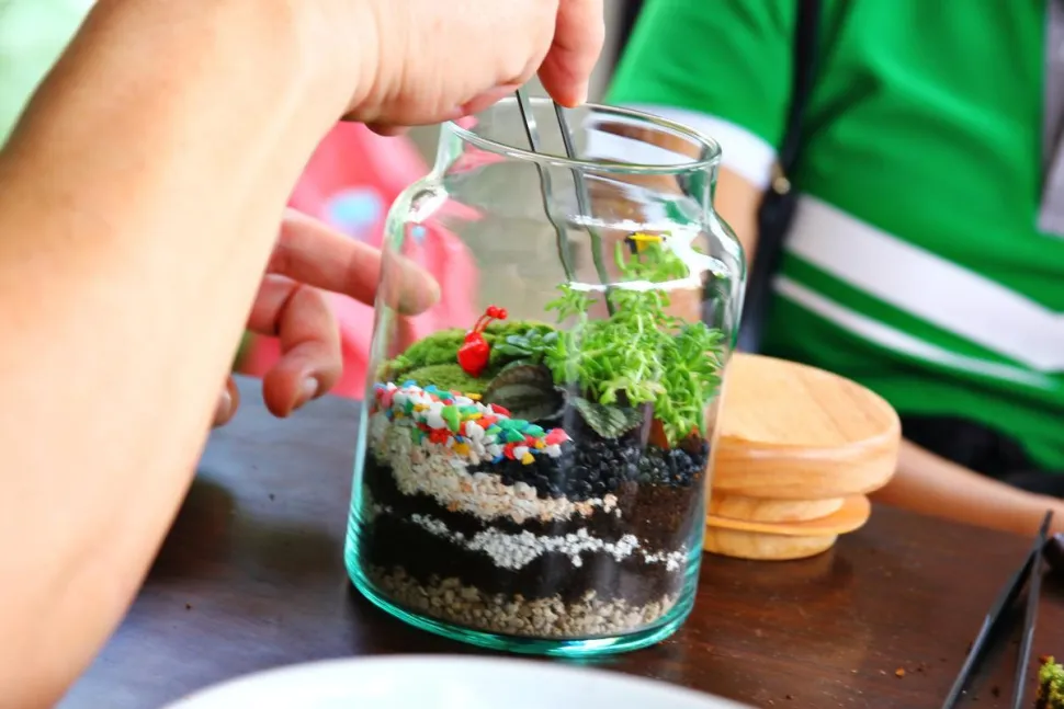 Arm yourself with pliers and patience to prune the plants in your terrarium - Photo by Aphithana Chitmongkolthong / Canva