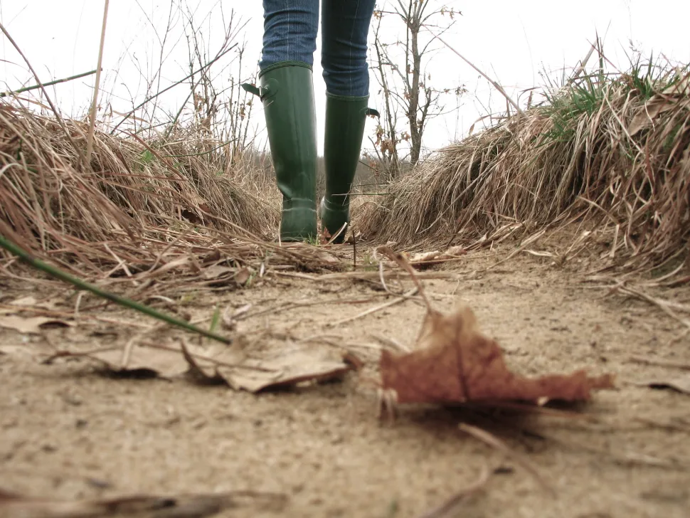 Sandy soil turns brown - Photo by Johnny Hunter