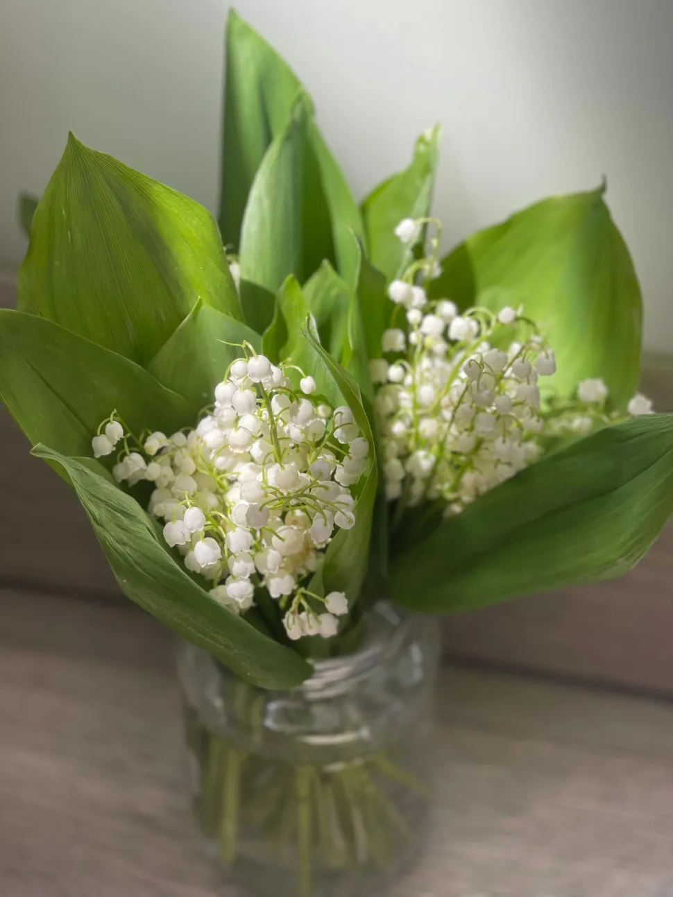 Empêchez vos animaux de boire l'eau du vase. Elle est toxique - Photo par Svetlana Kravtsova /Pexels