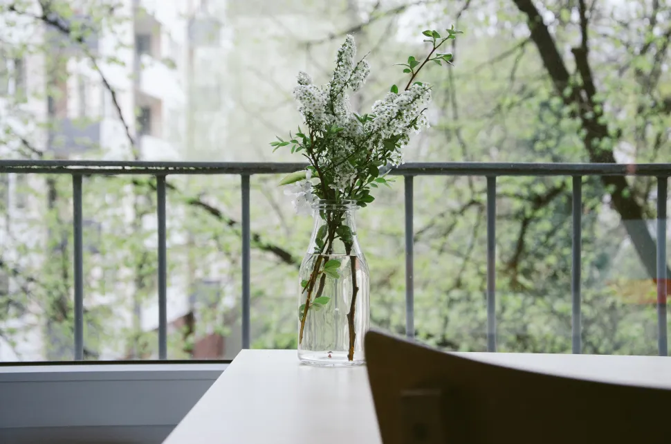 With a transparent vase, you can control water quality more easily! Photo by Dominik Martin - Stocksnap