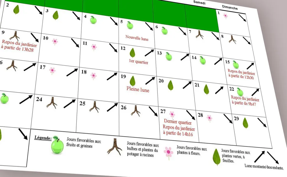 Aproveche el descanso del jardinero para planificar sus próximas sesiones de jardinería - Foto de Jardinpartage / Flickr