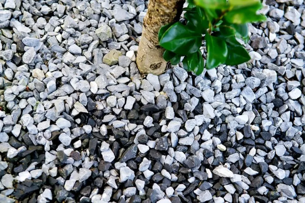 A cobertura vegetal mineral dá um toque zen ao jardim