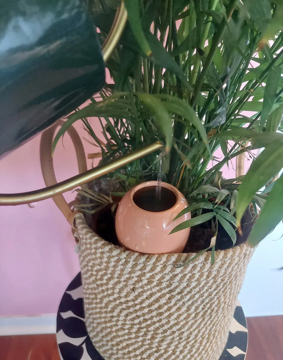 Instead of watering the substrate, you fill the reservoir.