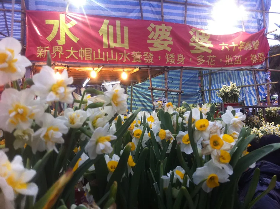 Chinesische heilige Lilien, ein weiteres Muss (Foto von Zhu Fok Gam / flickr)
