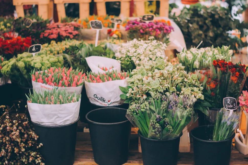 La scelta del bouquet ne determina la longevità - Foto di Alisa Anton - Stocksnap