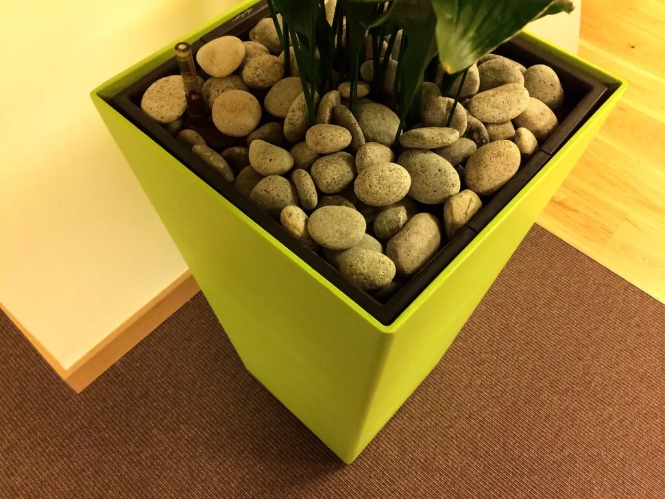 Den Zugang zur Blumenerde zu blockieren ist eine radikale, aber wirksame Lösung - Foto von Didgeman / Needpix
