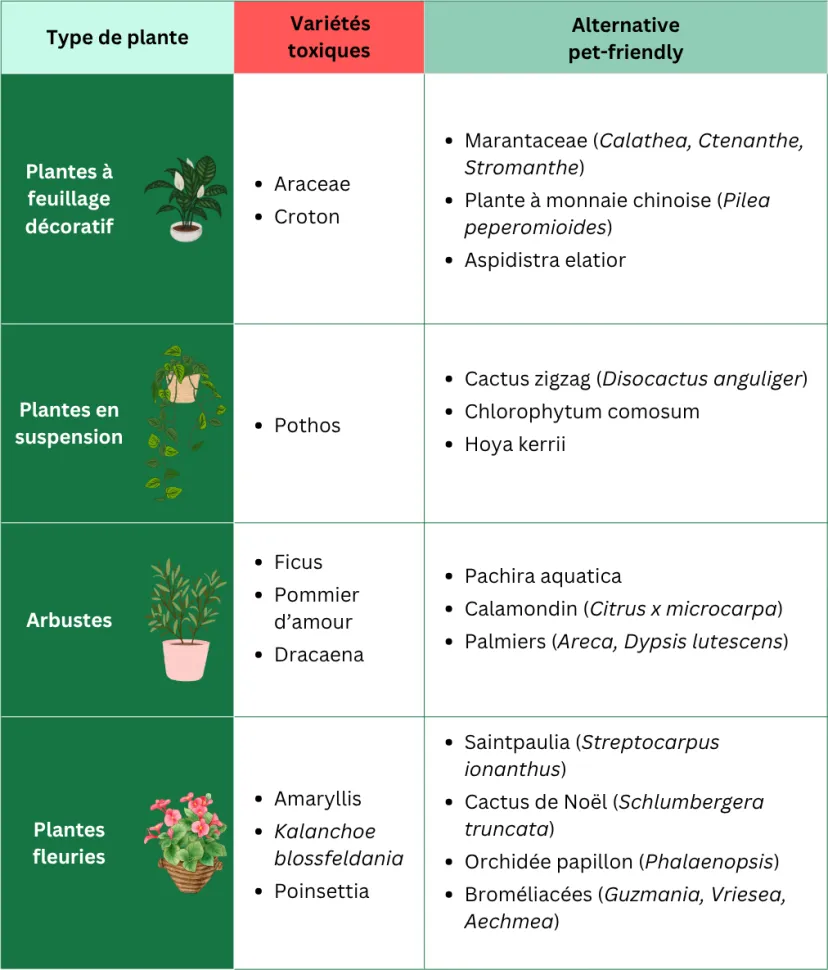 Orchideen, Calathea, Zitruspflanzen … Sie haben die Qual der Wahl!