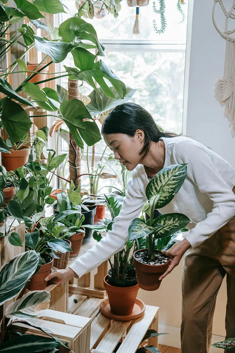 Cuida tus plantas todos los días. Es bueno para ellas y para tu salud Foto de Sasha Kim / Pexels