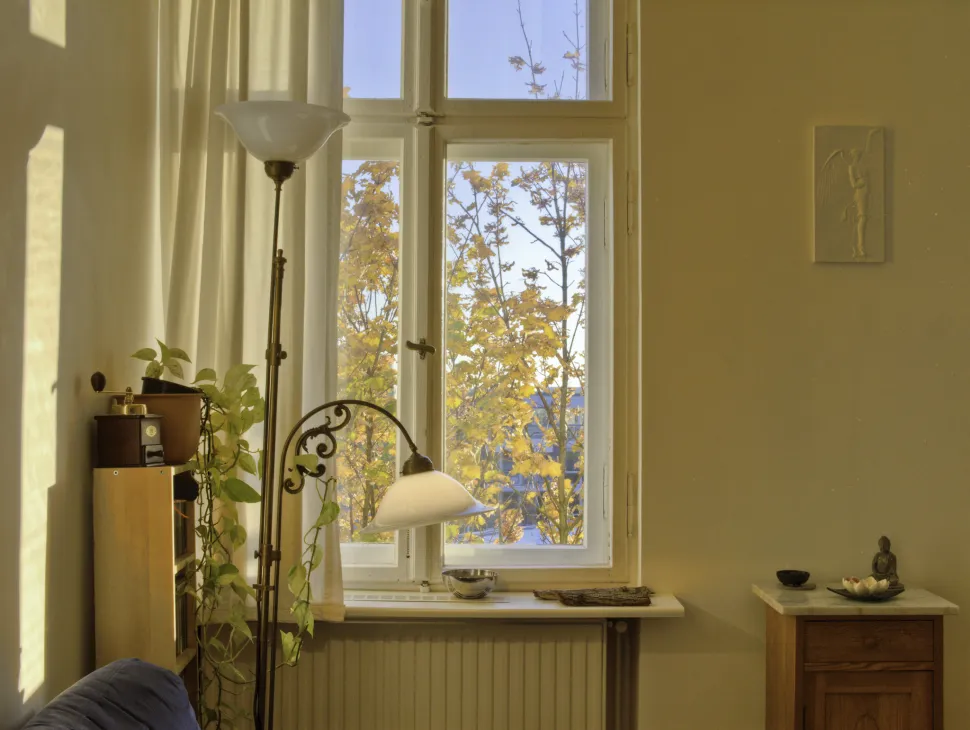 Zelfs als je plant het koud heeft, zet hem dan niet naast een radiator die aanstaat. Foto door Sascha Kohlmann / Flickr