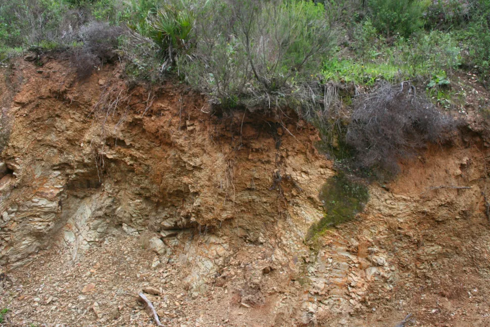 Siliceous soil is specific to certain regions - Photo by Antonio Jordan