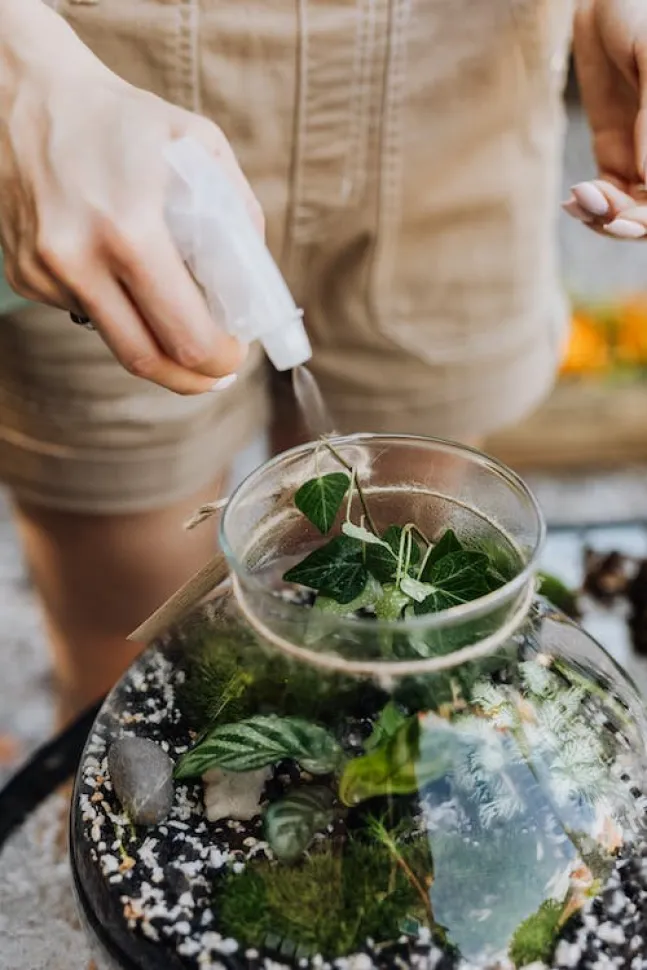 Besproei met een verstuiver om te veel water te voorkomen – Foto door Karolina Grabowska / Pexels