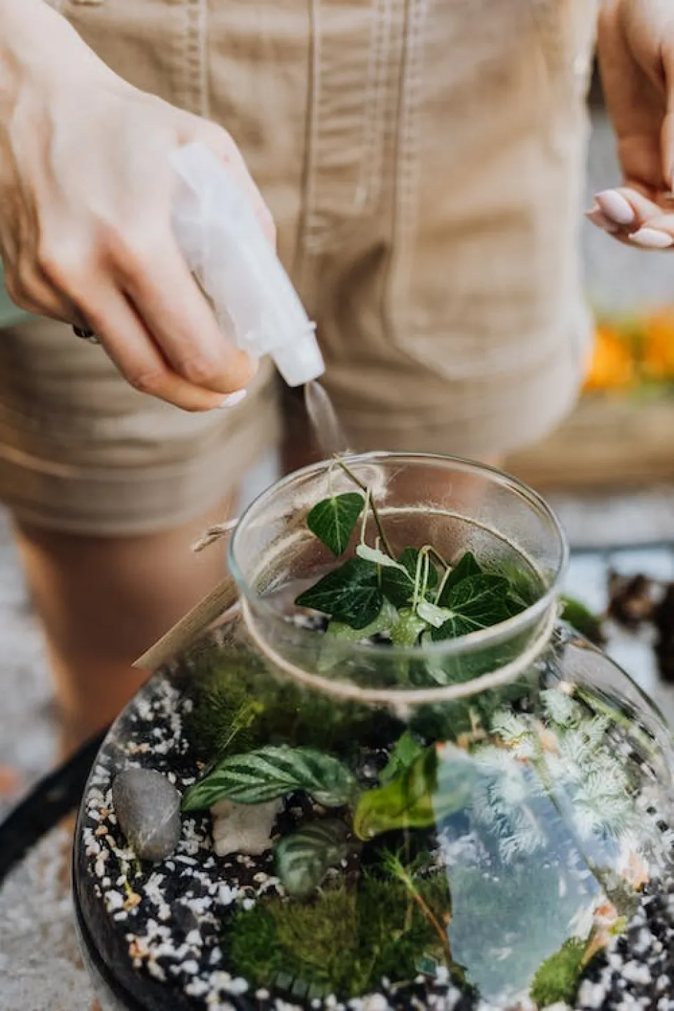 Watering with a mister avoids excess water - Photo by Karolina Grabowska / Pexels
