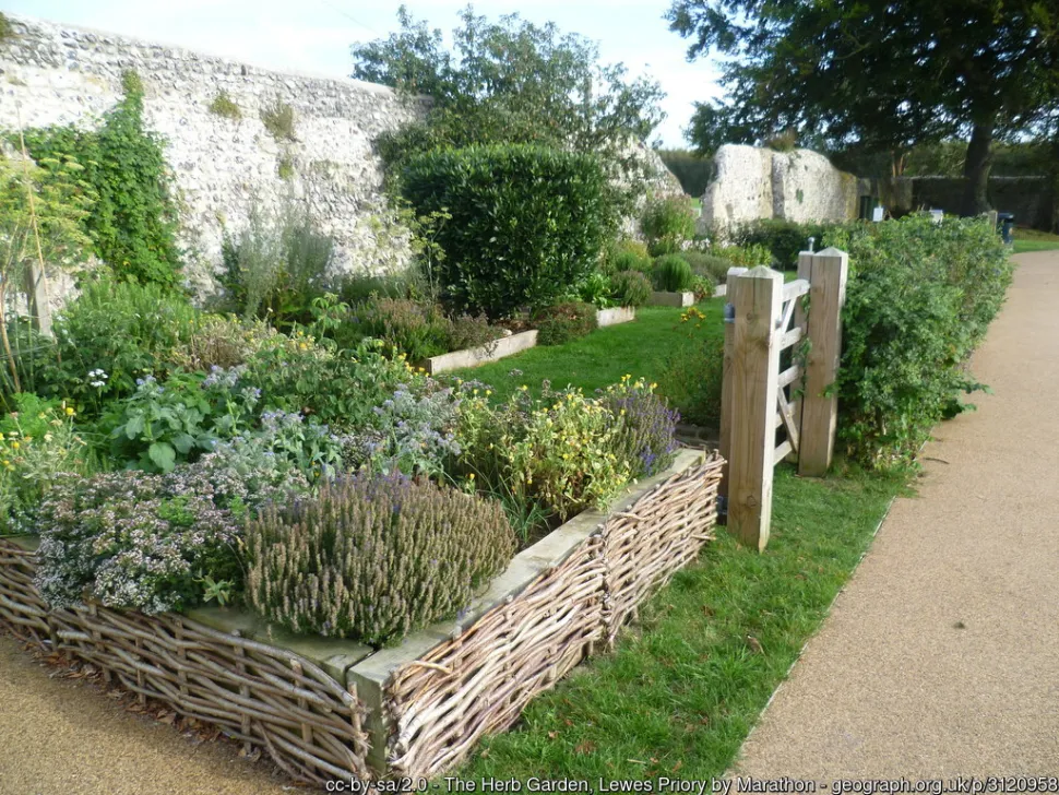 it's best to get organized before planting - Photo by Marathon / Geograph