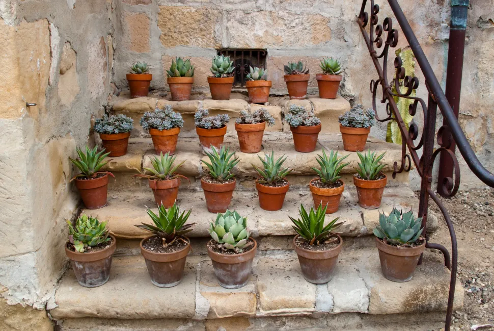 Clay pots by Anna Fox