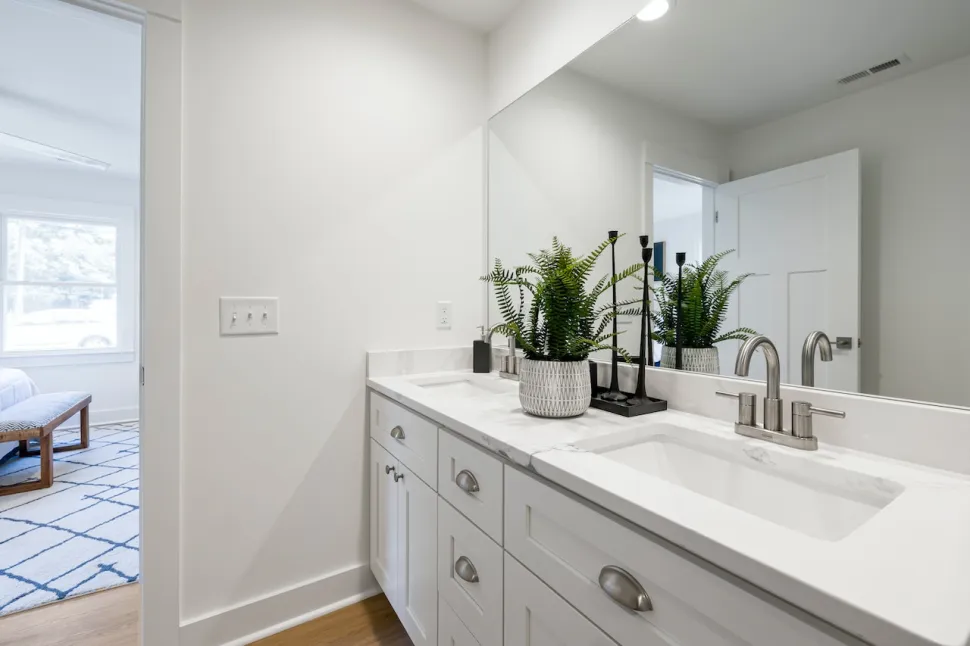 Le felci amano l'umidità del bagno - Foto di Curtis Adams/Pexels
