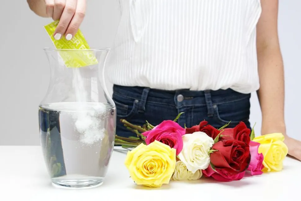 La polvere nutritiva venduta con il bouquet è l'unica cosa che potete aggiungere all'acqua. Foto di ProFlowers - Flickr