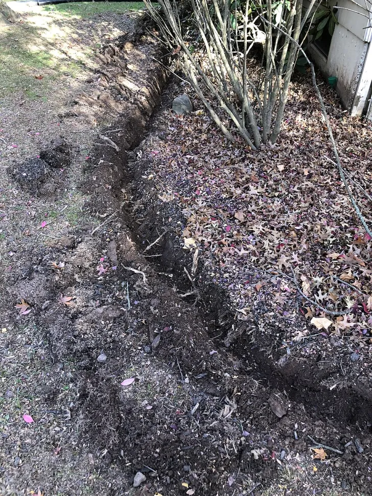 Furer er ikke særlig kønne, men de kan spare dig for en masse vand / Famartin /Wikipedia