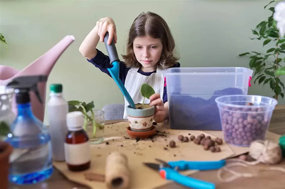 Of je nu een beginnende of ervaren tuinier bent, een drainagelaag is altijd handig – Foto door Valérie Goncharuk / Envato