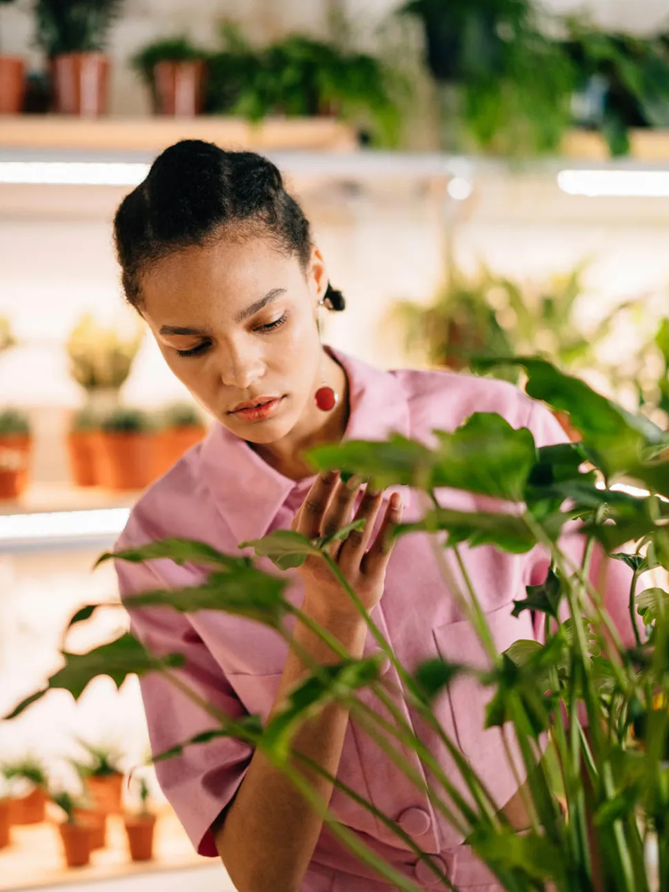 Con la experiencia, pronto sabrás dónde acudir para conseguir plantas de calidad - Foto de Cottonbro studio / Pexels