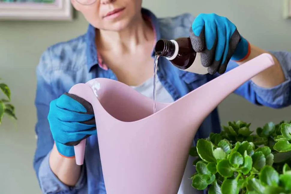 A differenza di questa signora, assicuratevi di usare la giusta quantità di fertilizzante. Foto di Valerii Honcharuk / Canva