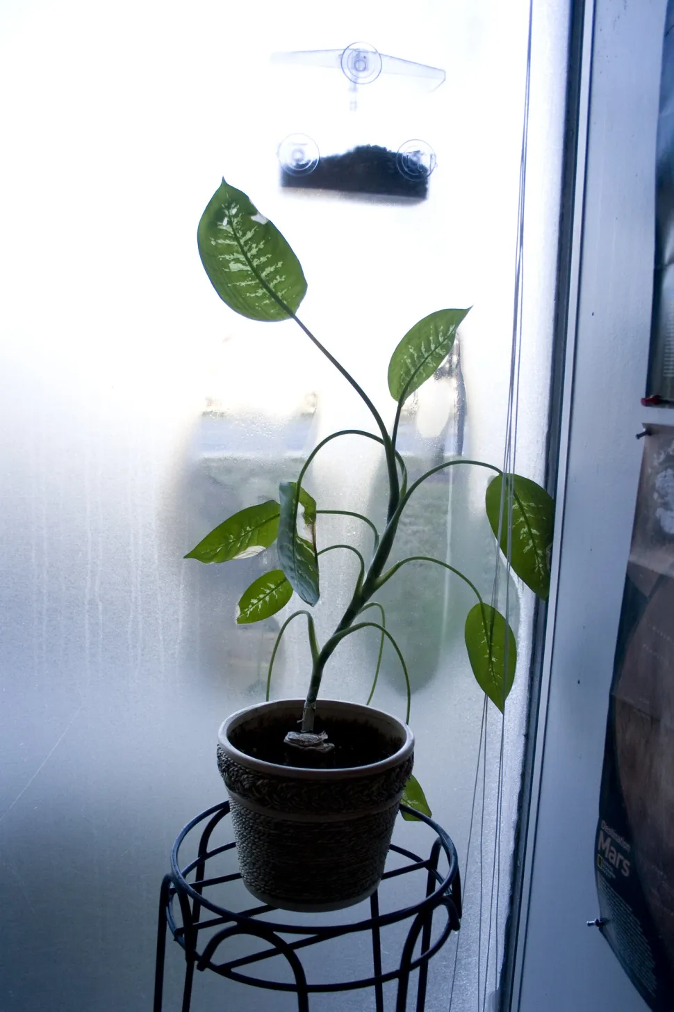 En invierno, la temperatura junto a una ventana mal aislada será más baja que en el resto de la habitación. Foto de Woodley Wonderworks / Flickr