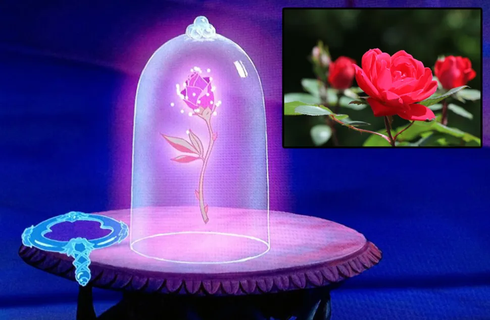 Was wir als Rose bezeichnen, ist nicht dafür gemacht, unter einer Glocke zu leben - Foto Disney / Jim the photographer /Flickr