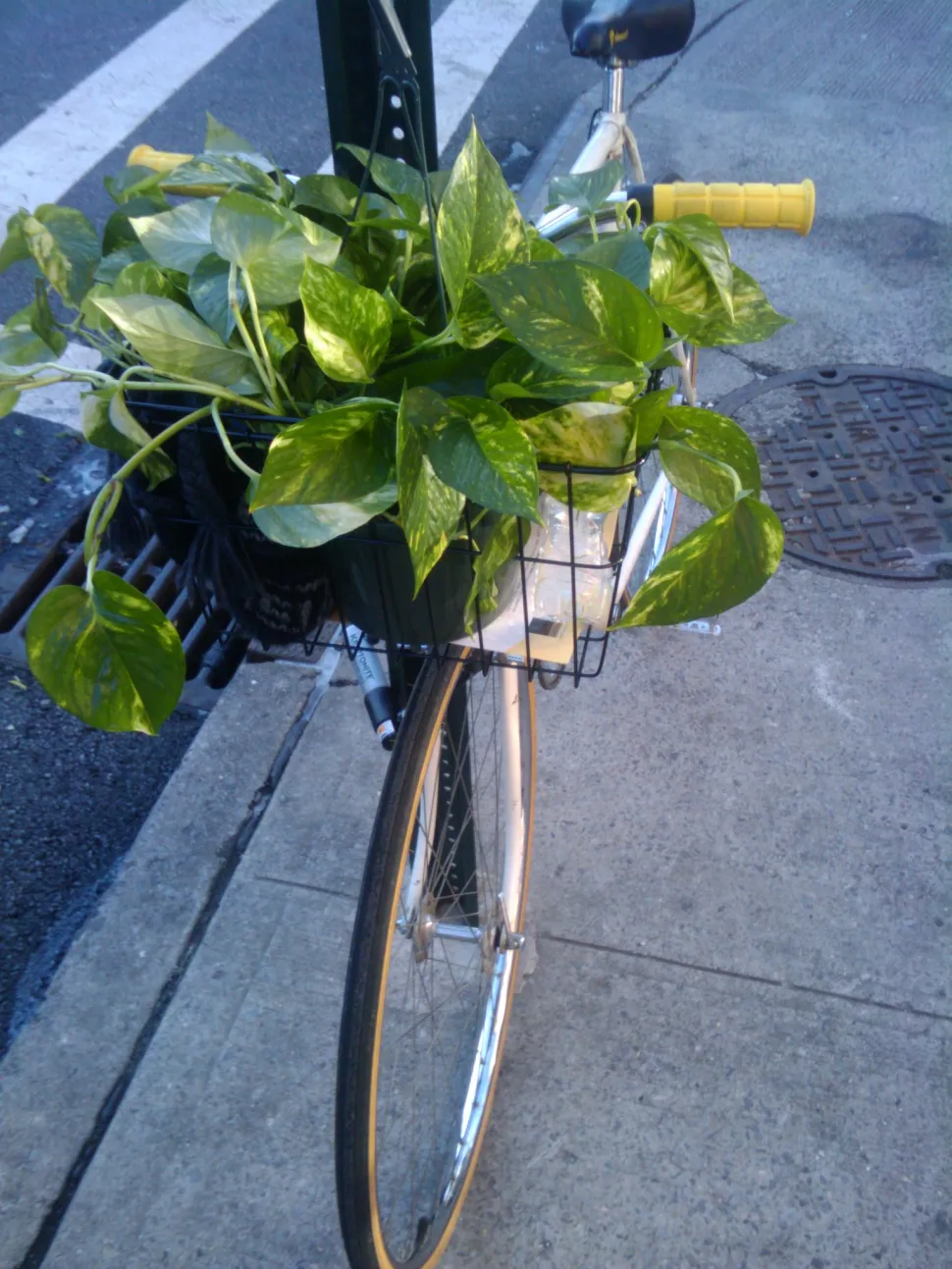 Wenn Sie nicht weit fahren, kann auch das Fahrrad eine Lösung sein - Foto von Danny Howard / Flickr