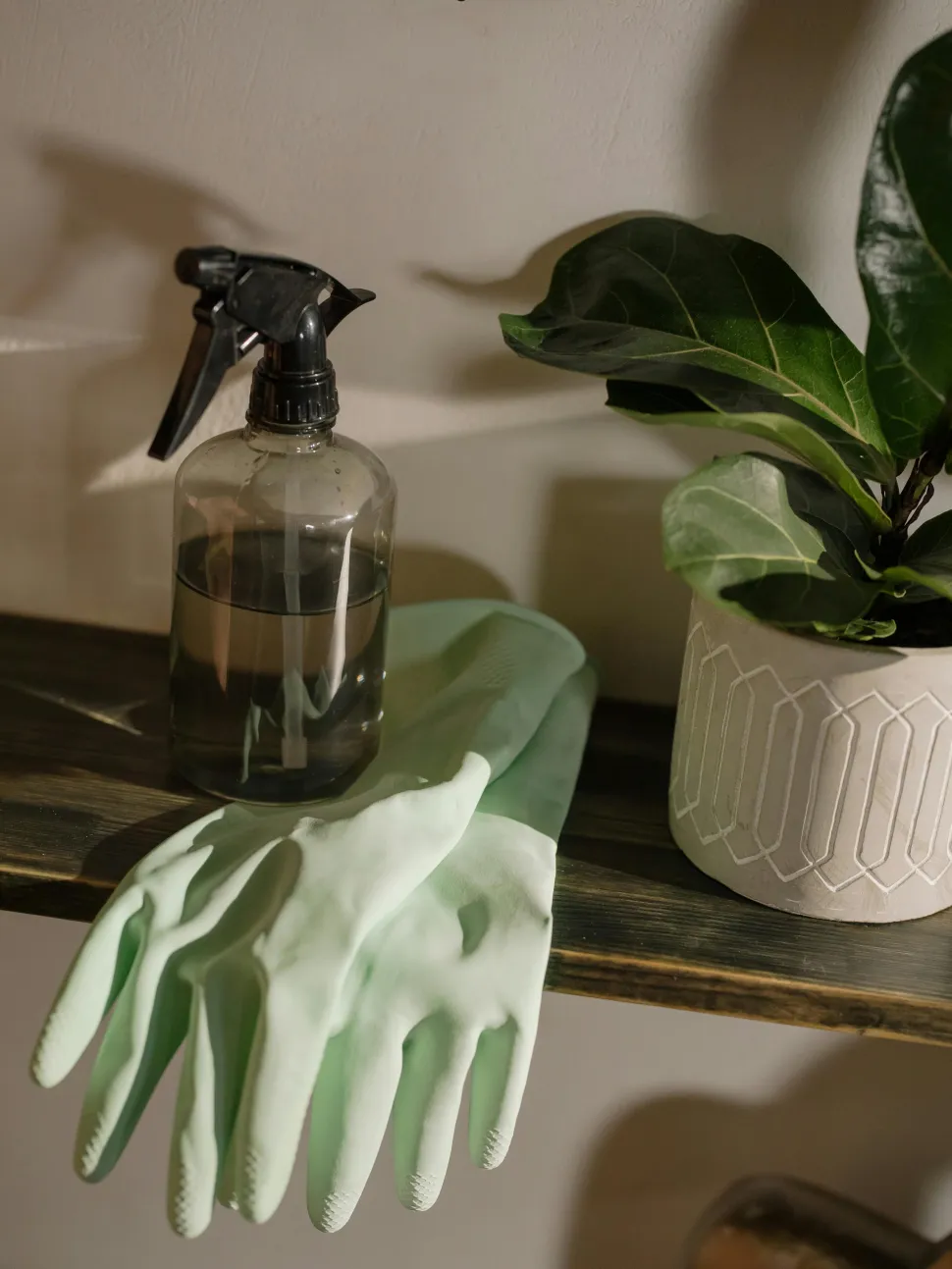 Sebbene sia efficace contro i moscerini, l'acqua saponata può essere pericolosa per le piante - Foto di Cottonbro Studio / Pexels