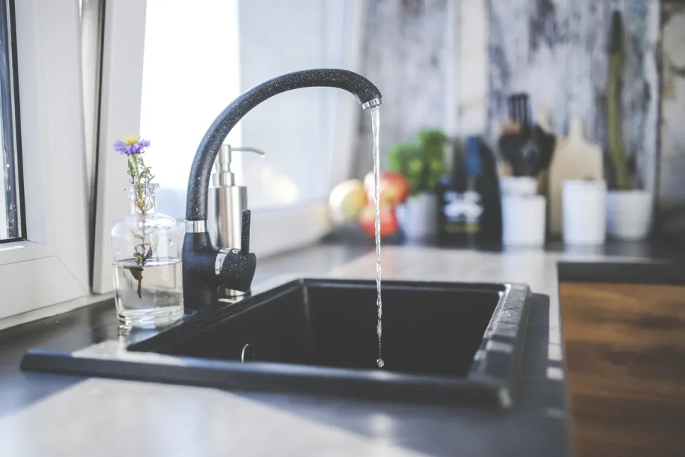 El agua del grifo es adecuada para la mayoría de las especies - Foto de Kaboombics / Rawpixels