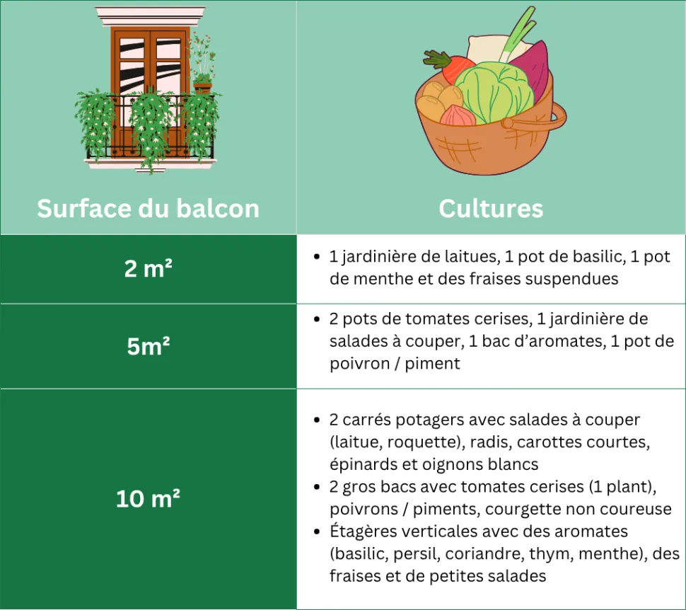 Einige Beispiele für den Anbau auf einem 2,5 oder 10 m² großen Balkon