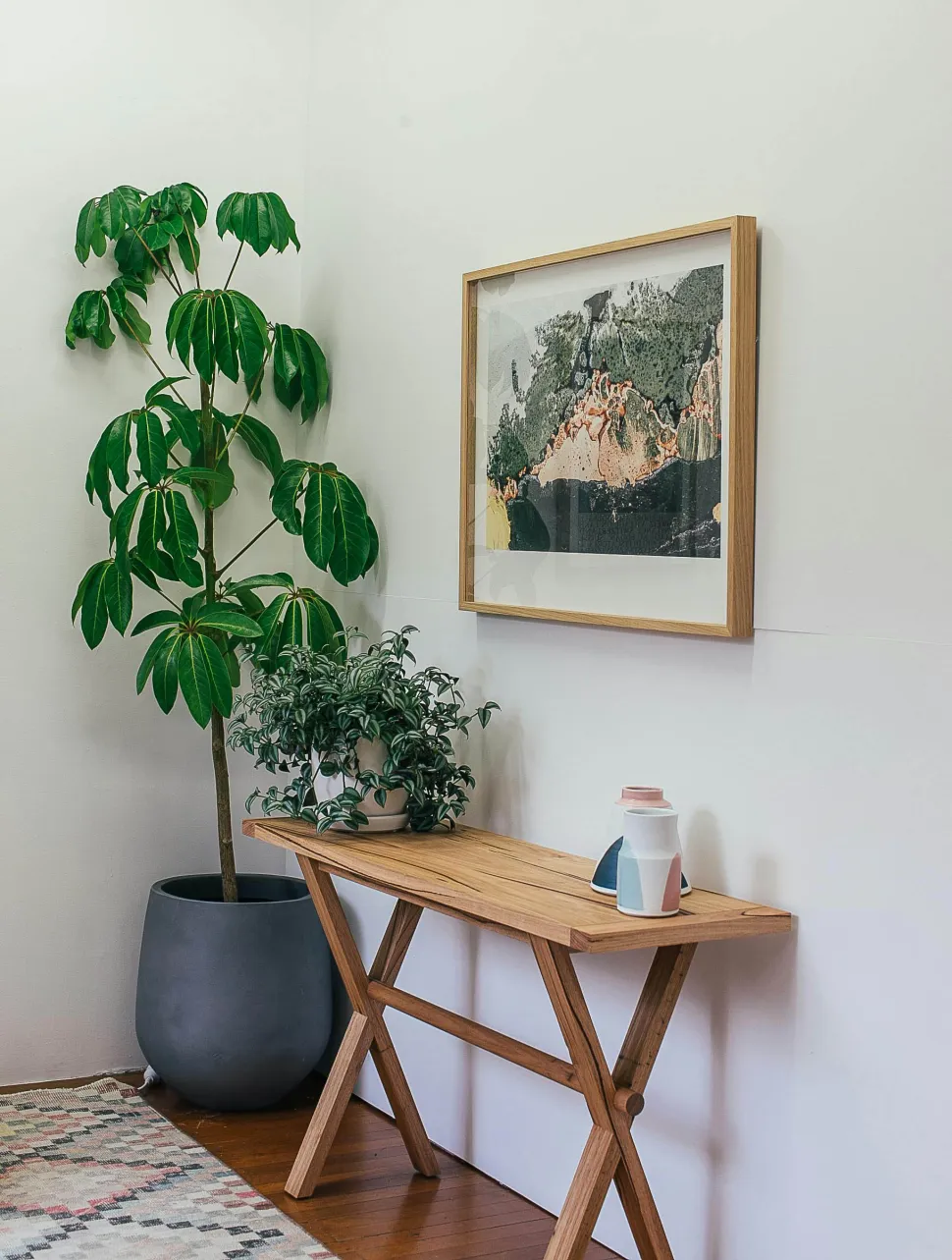 Con le sue foglie verde brillante, l'albero a ombrello può vestire qualsiasi spazio - Foto di Rachel Claire / Pexels