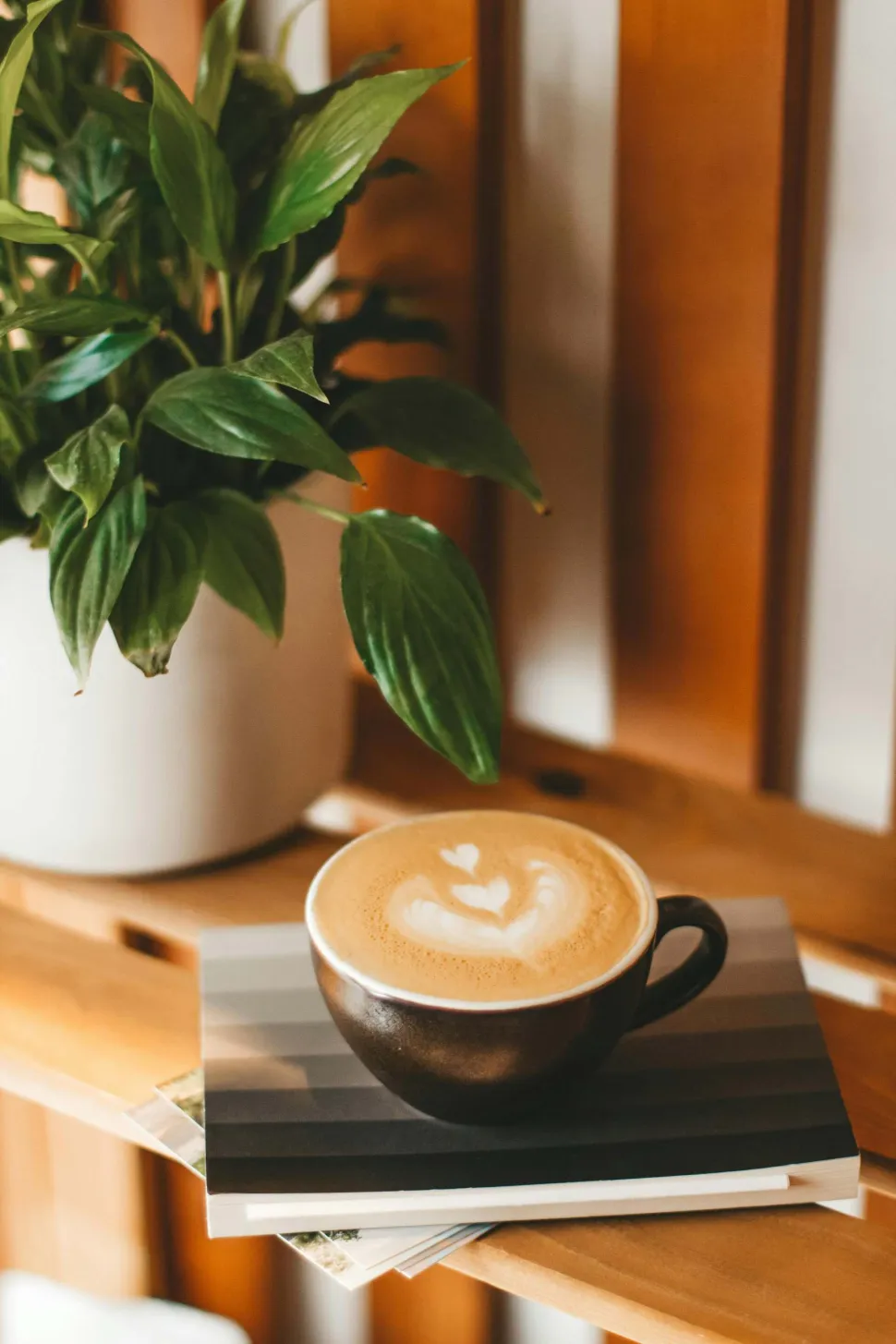 At vande dine planter om morgenen kan give dig en god grund til at komme ud af sengen - Foto af Marta Dzedyshko - Pexels