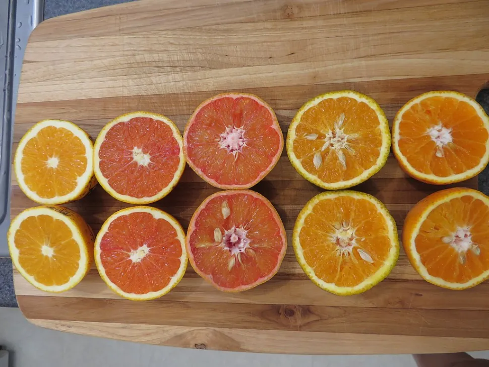Appelsiner skåret i halve