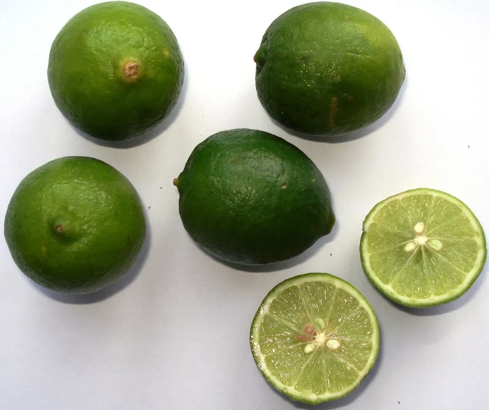 Limequat-frugt