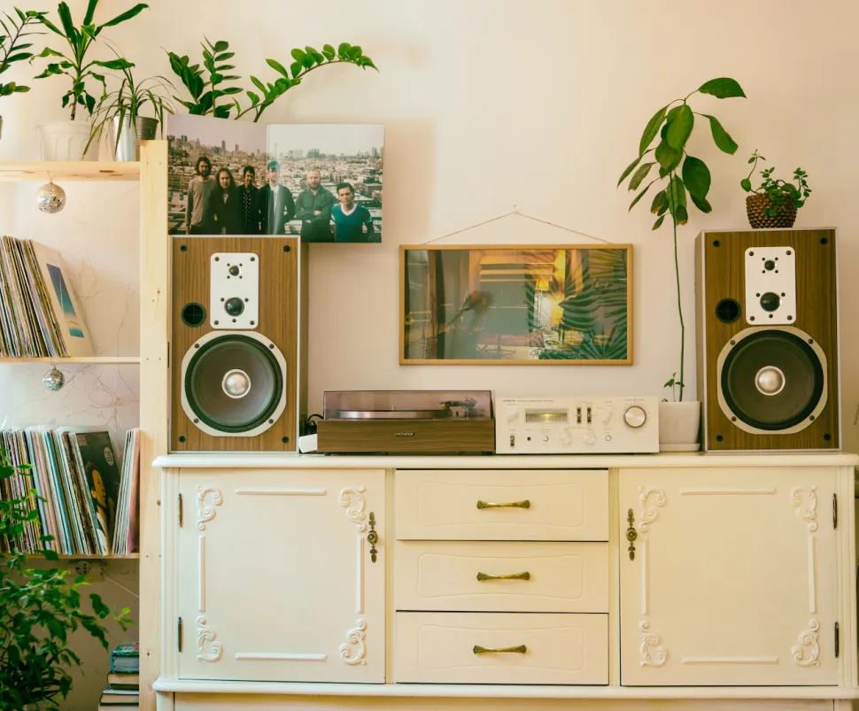 Piante su mobili in vinile