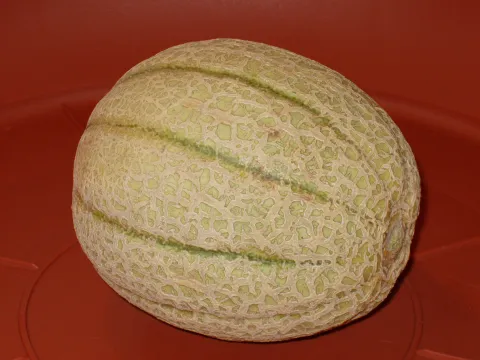 Melonenfrucht Cantalop